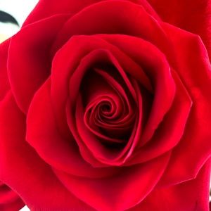 Meet your Posher, Yukari